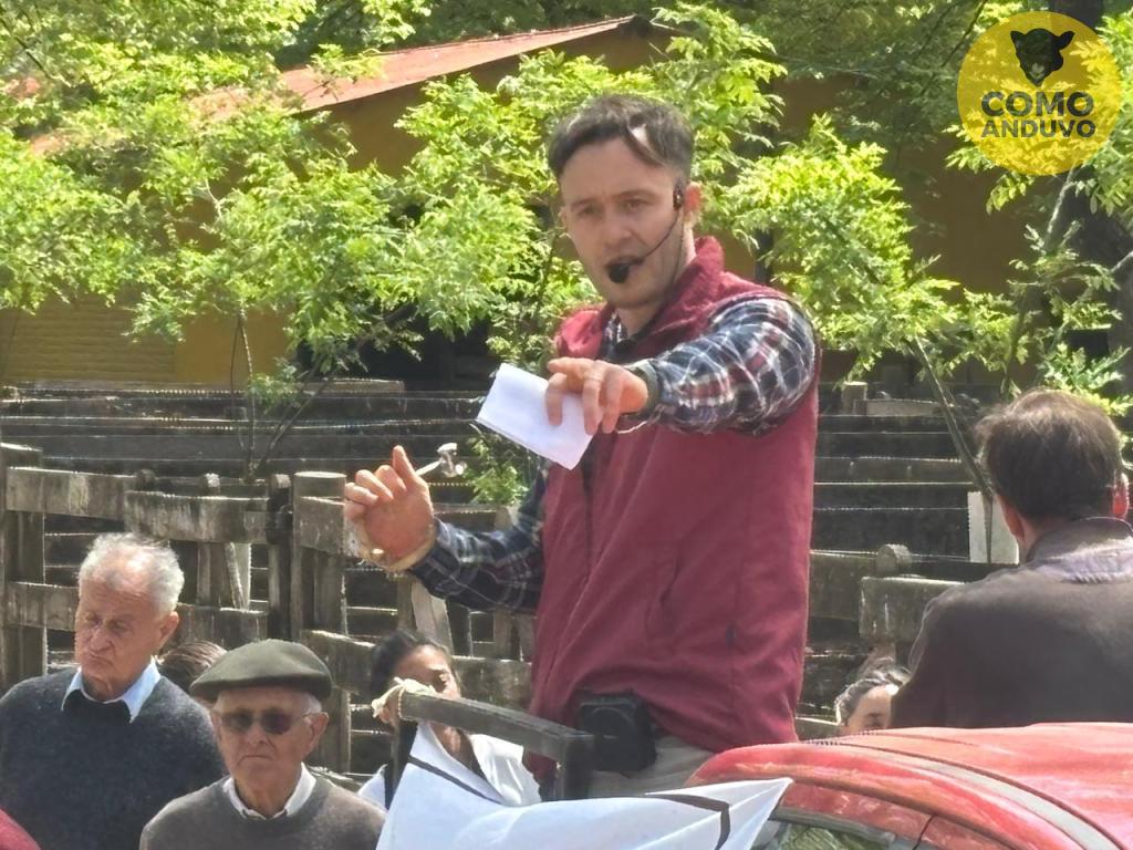 Adolfo S. Koerner y Cía